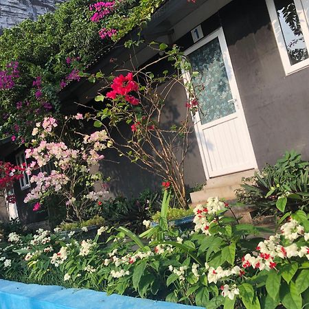 Cat Ba Countryside Homestay Dong Khe Sau Extérieur photo