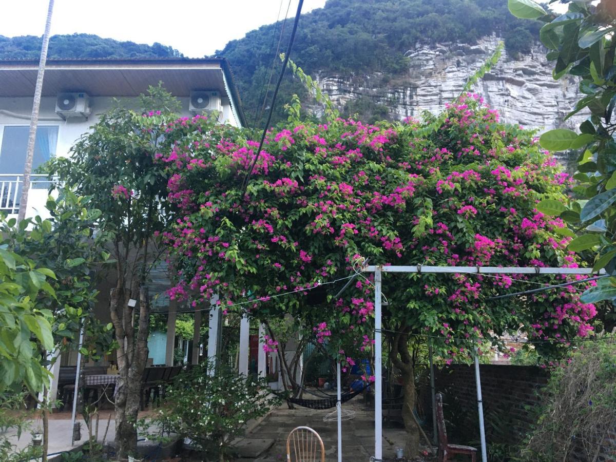 Cat Ba Countryside Homestay Dong Khe Sau Extérieur photo