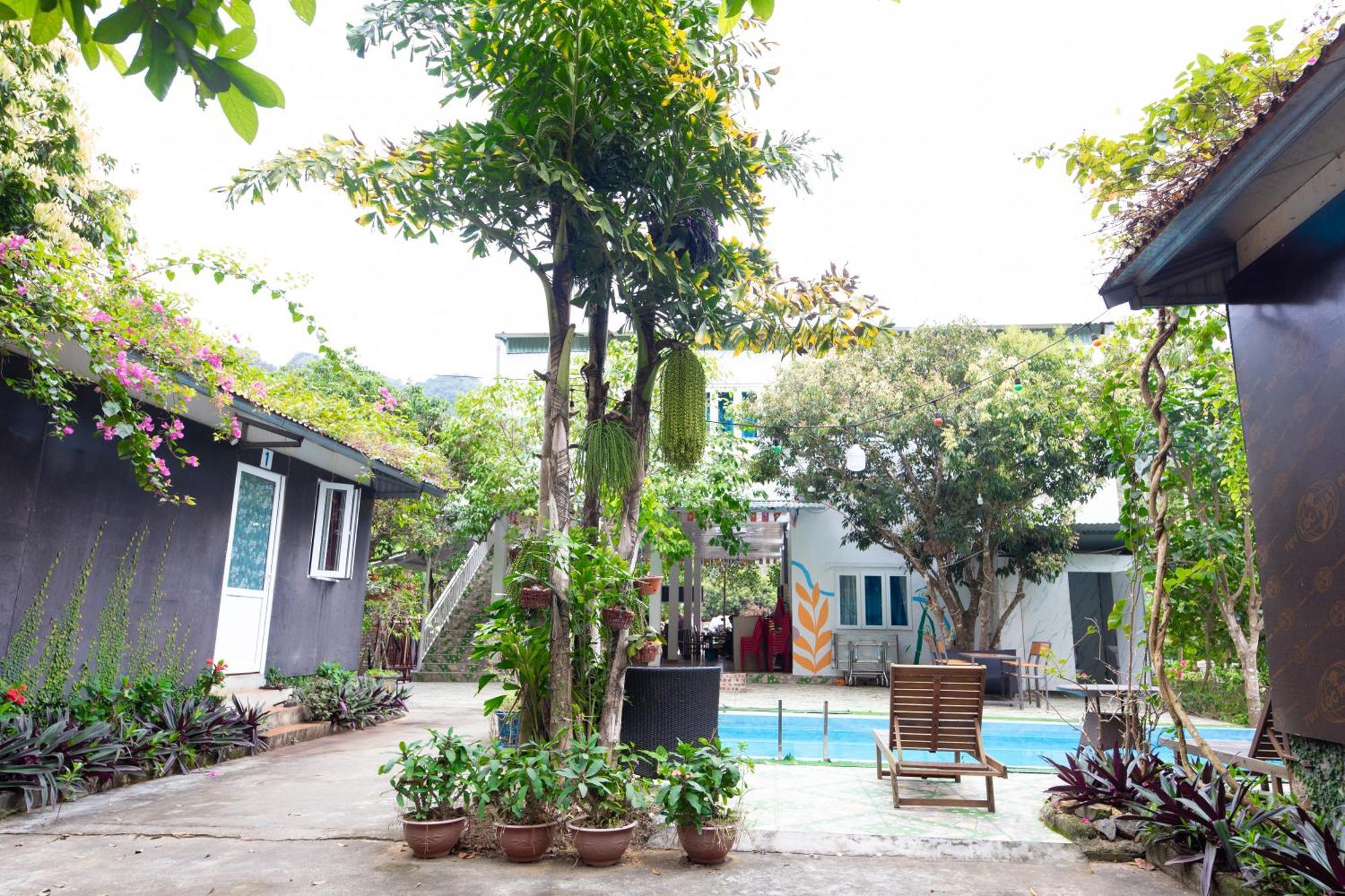 Cat Ba Countryside Homestay Dong Khe Sau Extérieur photo