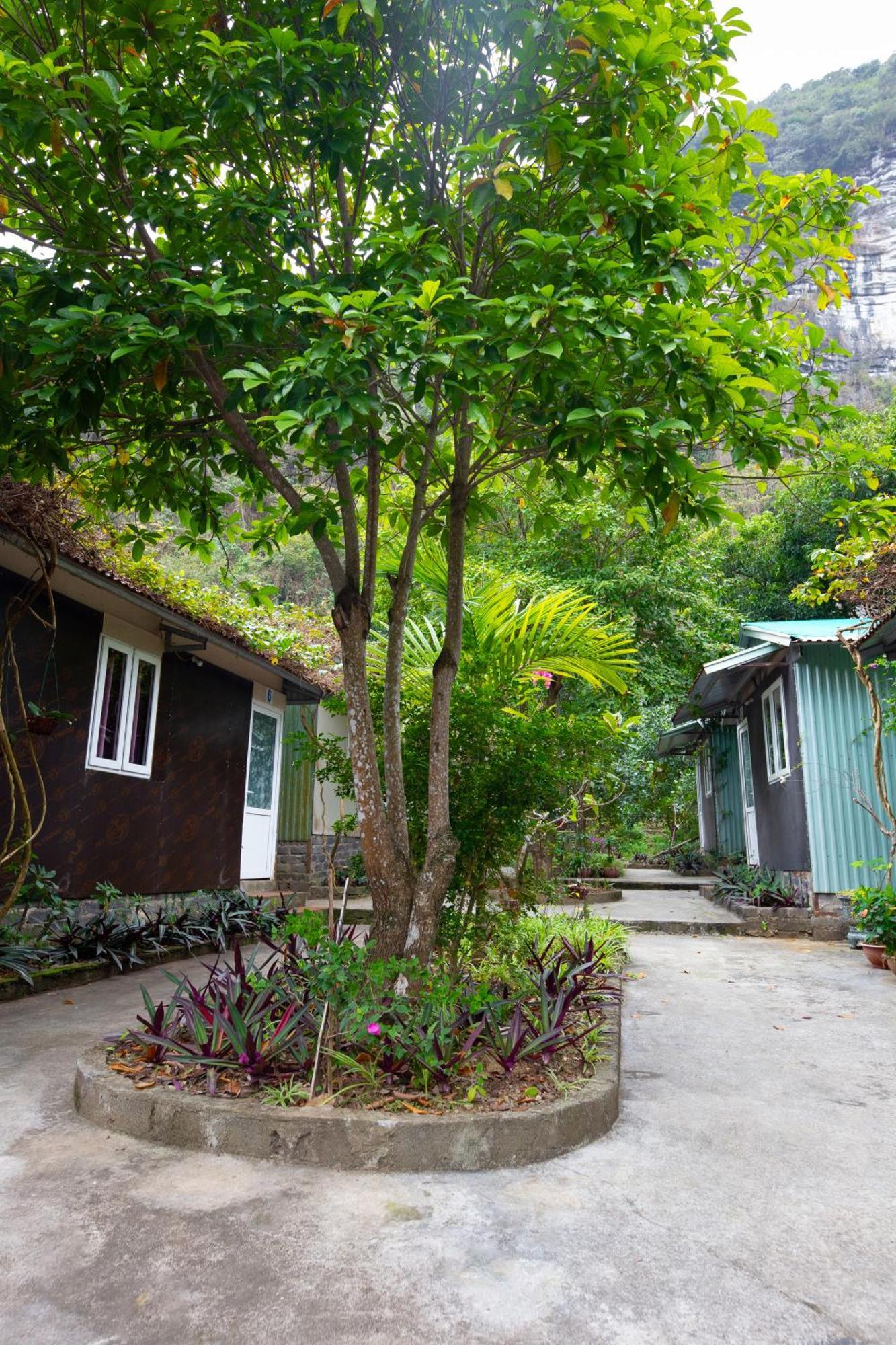 Cat Ba Countryside Homestay Dong Khe Sau Extérieur photo