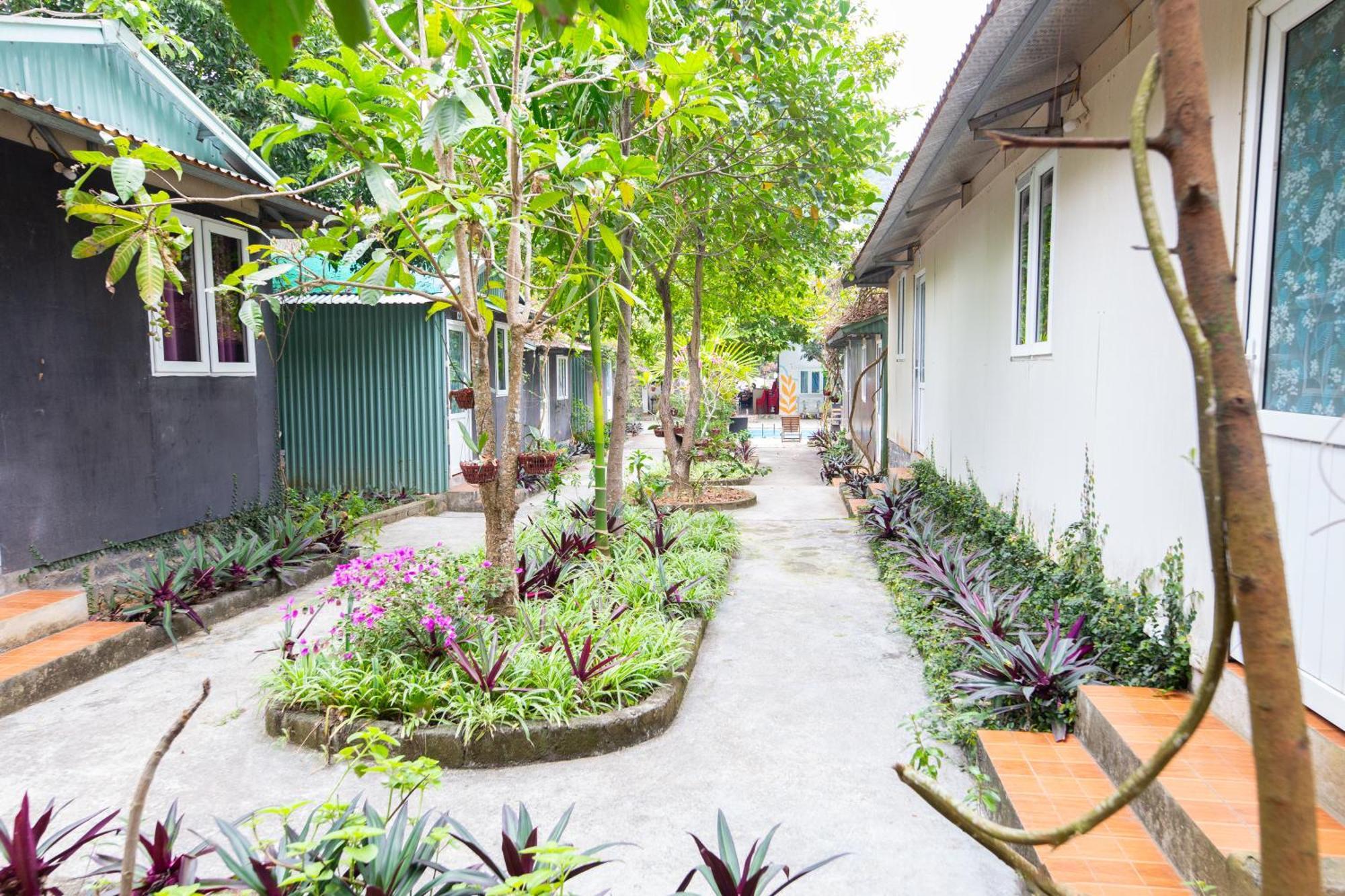 Cat Ba Countryside Homestay Dong Khe Sau Extérieur photo