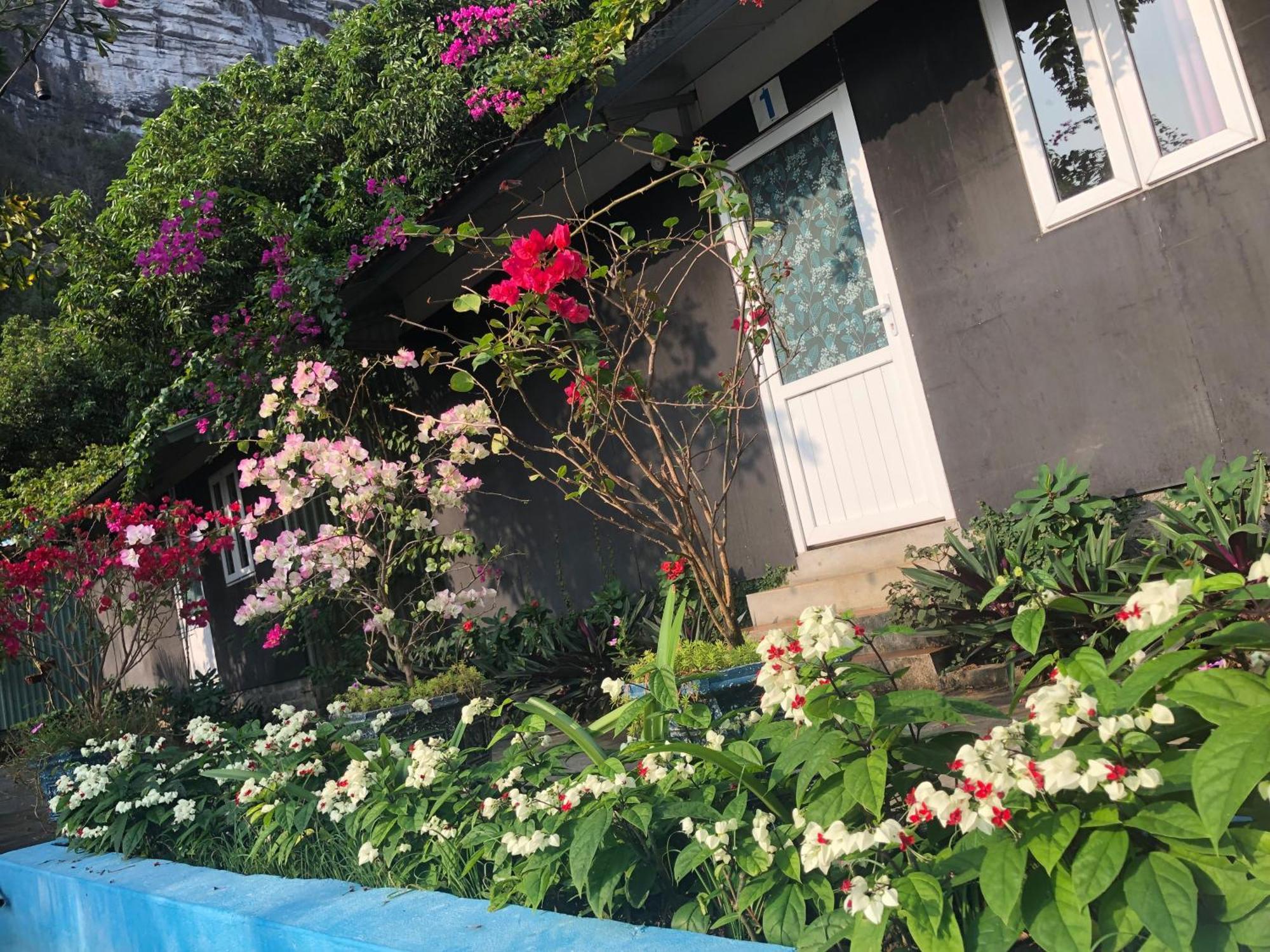 Cat Ba Countryside Homestay Dong Khe Sau Extérieur photo
